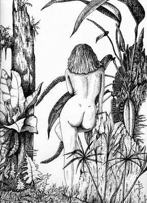 Nude pen and inkdrawing.  Peter Buddle